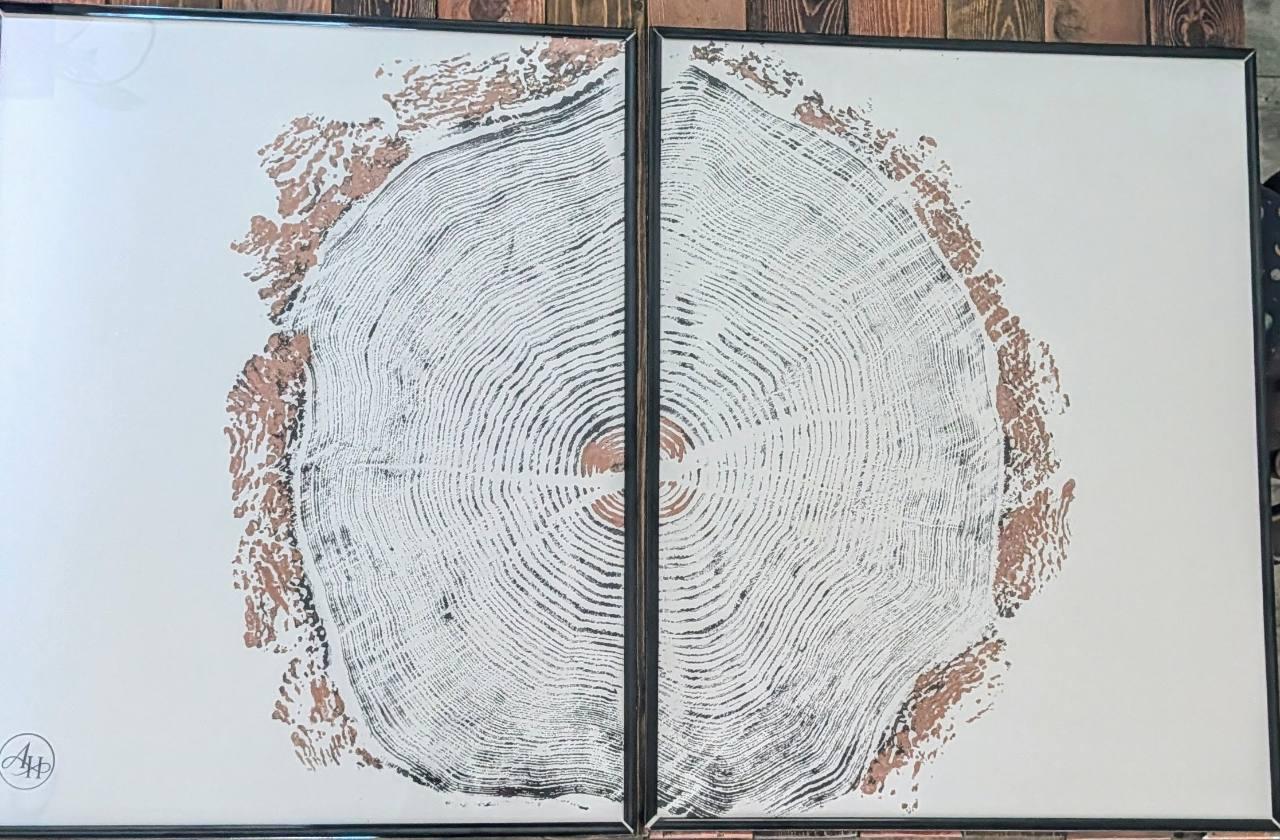 Full Copper Fir Echo Diptych with black and copper tree ring impression across two panels