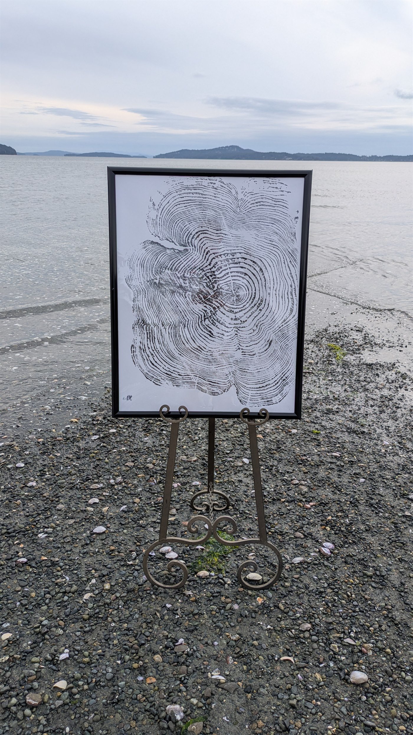 Coastal Cedar thumbnail 2