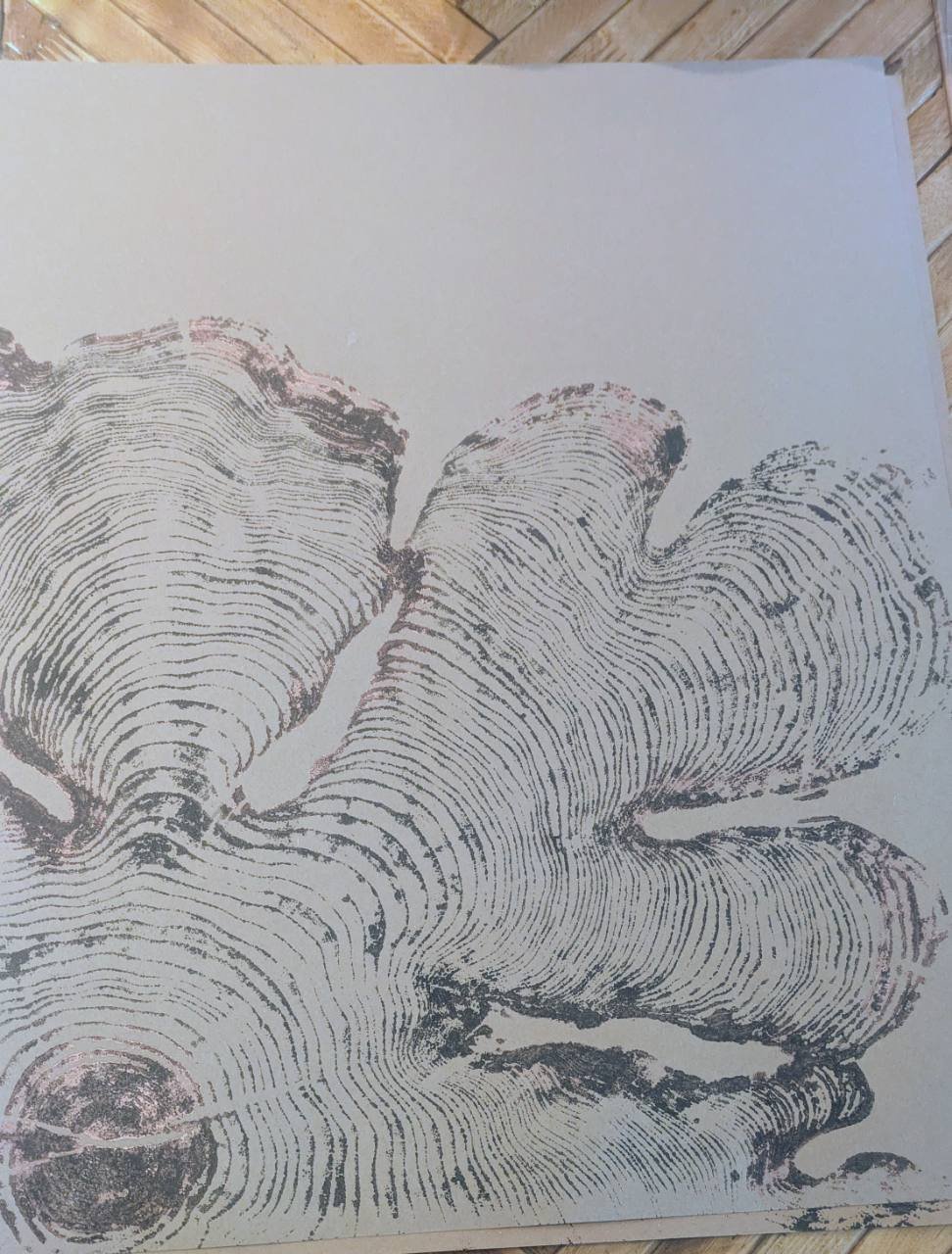 Holgrove Cedar Memory thumbnail 2