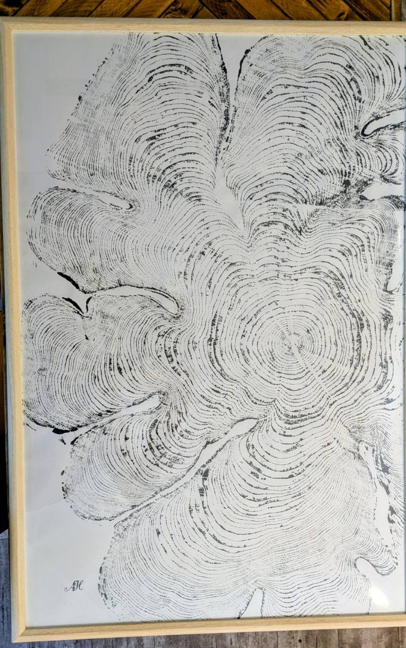 Ladysmith Cedar Light thumbnail 2