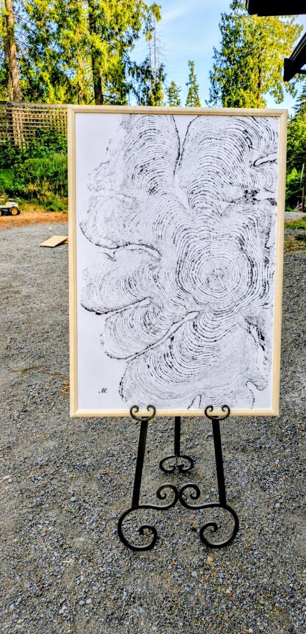 Ladysmith Cedar Light thumbnail 3