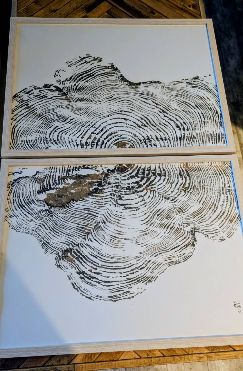 Shawnigan Cedar Echo thumbnail 2