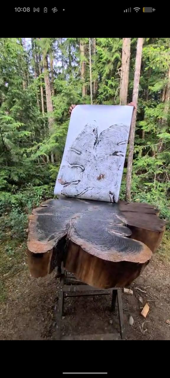 The Reveal